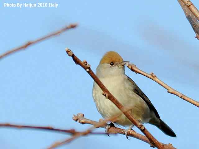 【亚平宁半岛之旅 wbr. wbr启程恢鸟】