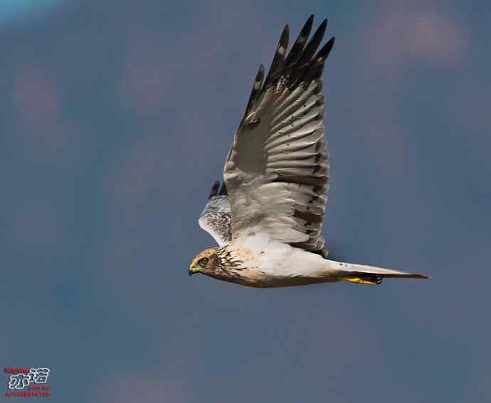 官厅水库 wbr路 wbr金秋十一猛 官厅水库 wbr路 wbr金秋十一猛