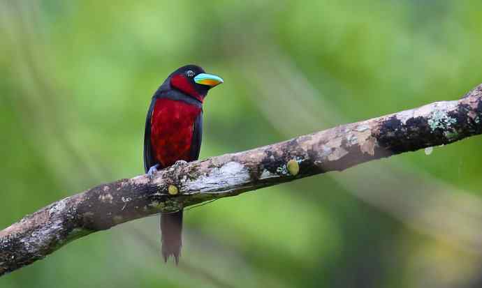此情可待成追忆 wbr只是当时已惘然（我的阔嘴情缘）