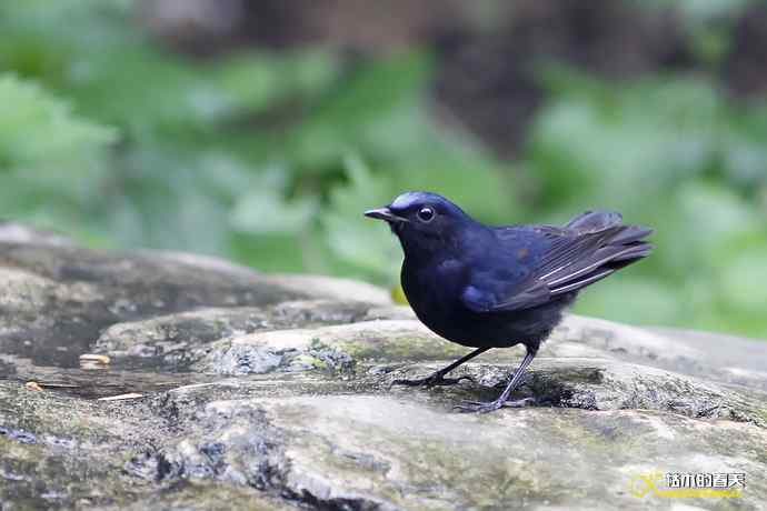 记录鈥湴孜怖兜仞垛