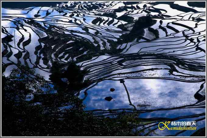 如梦的元阳梯田【照片】 如梦的元阳梯田【照片】