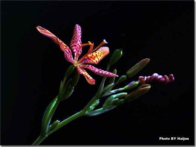 天要下雨 鸟要觅食