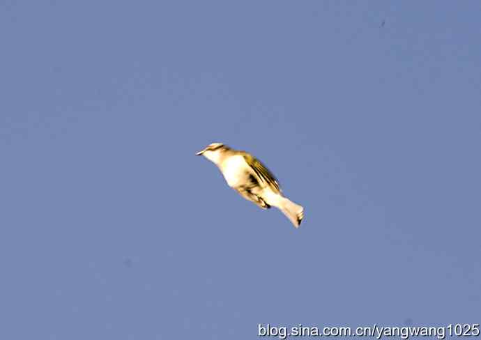 空中街舞（趣闻）