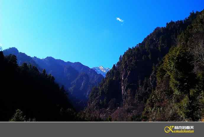 寻梦鈥溠趴讼拟潯臼蹬摹