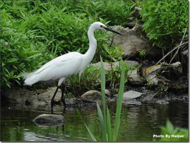  点击图片或使用键盘← →翻页