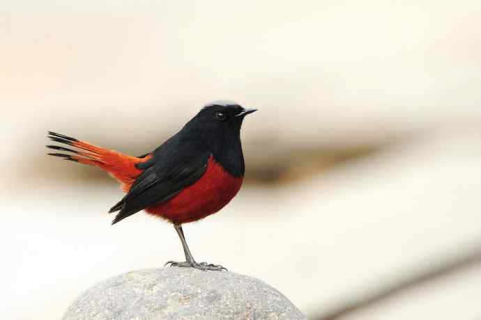 蹊跷鈥斺敯锥ハ洞骰颐倍