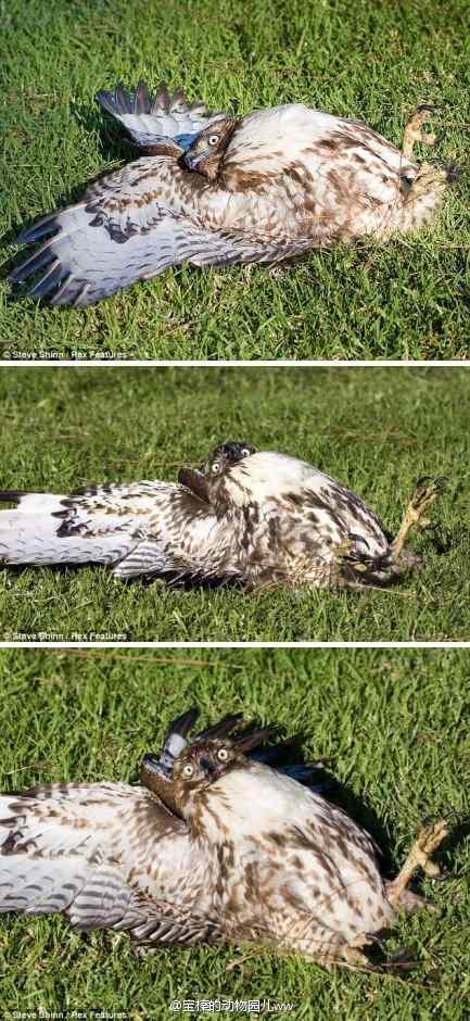 吃多了会怎样 吃多了会怎样