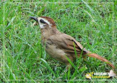 鈥溎袢蒜澋木适澜纭菊掌