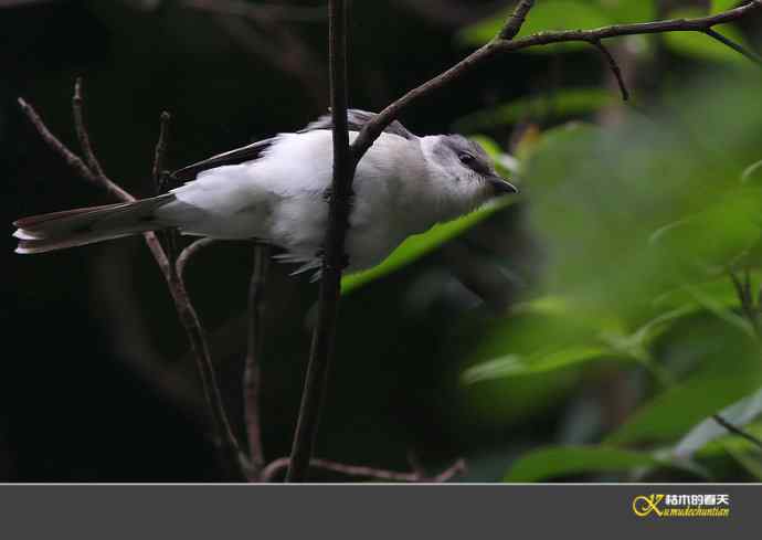 拍鈥溁疑浇纺疋澕侨ぁ菊掌