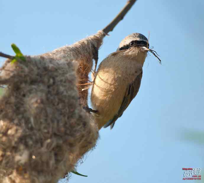 敬畏生命 敬畏生命