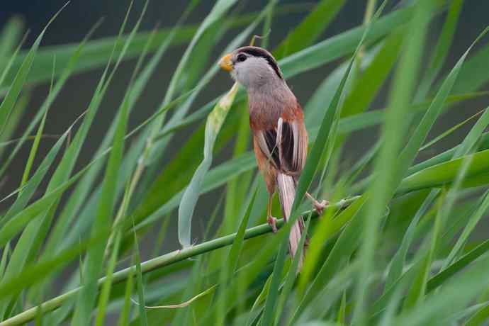萌态可掬的鈥溦鸬┬∪糕☆★ 萌态可掬的鈥溦鸬┬∪糕☆★