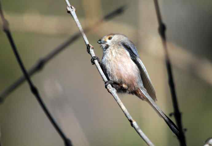 大年初二见到鈥溡恚ǔの玻┥饺糕潱锹及妫 大年初二见到鈥溡恚ǔの玻┥饺糕潱锹及妫