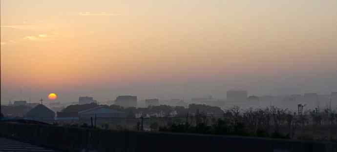 229.打鸟归来收获多多--1.黄眉柳莺等三种鸟