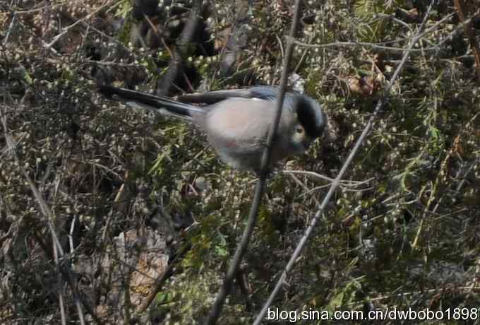 秋到白河湾 秋到白河湾