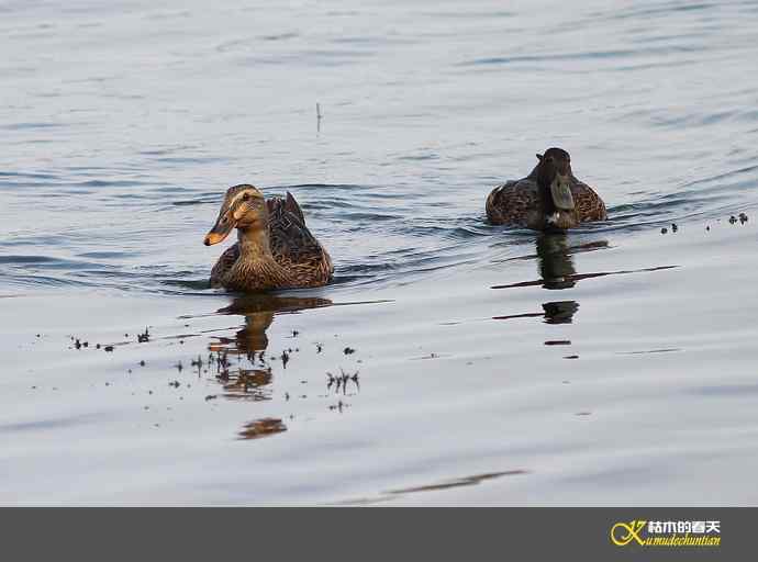 远摄鈥滒叼蒜潯臼蹬摹