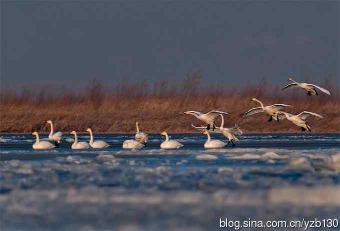 今日野鸭湖鈥斺敶筇於欤ㄗ橥迹20张图片）