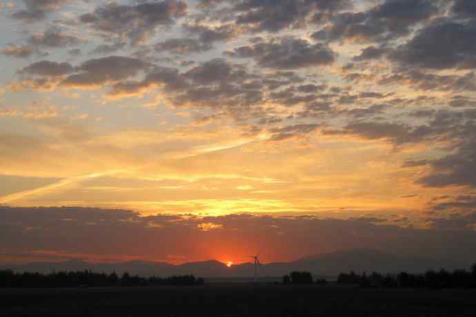 阿穆尔隼:野鸭湖黎明观猛*