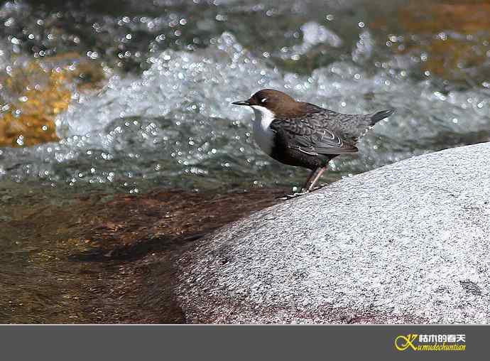 孟屯河拍鈥満游阝潯臼蹬摹