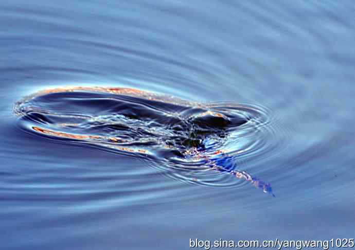 颐和园的收获（小PT）