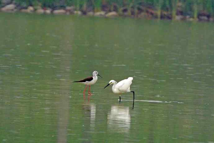 和谐 wbr wbr记录版 wbr wbr（1）