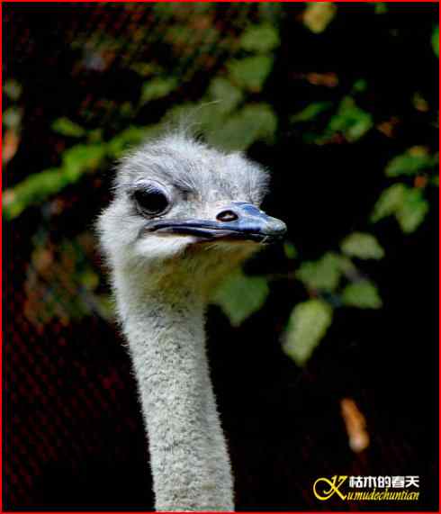 鈥湸蚰疋澬律睢菊掌