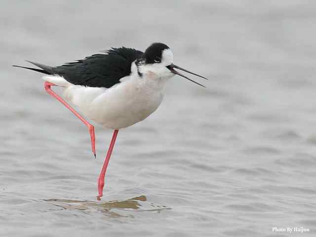 我憧憬那湾碧水 wbr. wbr我流连那片土地