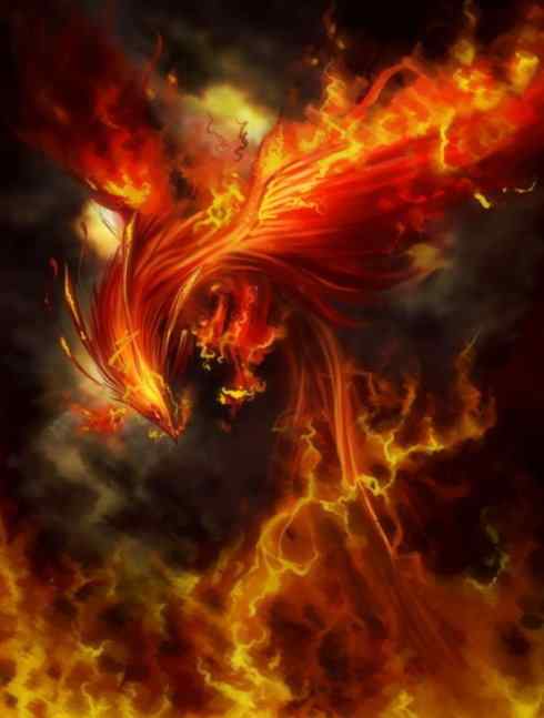 凤凰：传说的鸟