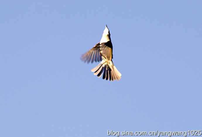 空中街舞（趣闻）