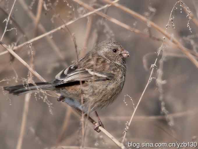 进步版鈥湷の踩糕潱ㄗ橥迹8张图片）