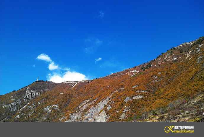 寻梦鈥溠趴讼拟潯臼蹬摹