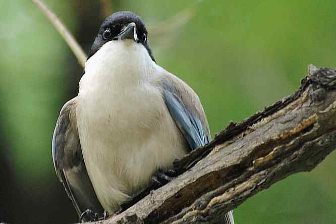  点击图片或使用键盘← →翻页