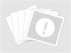 犬科:犬亚科犬属之西门豺、侧纹豺(胡狼类) 犬科:犬亚科犬属之西门豺、侧纹豺(胡狼类)