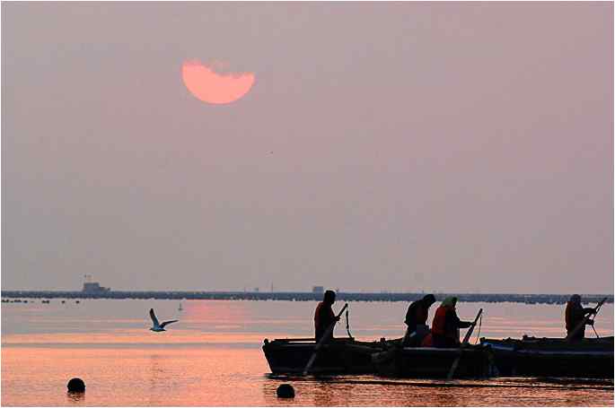 点击图片或使用键盘← →翻页