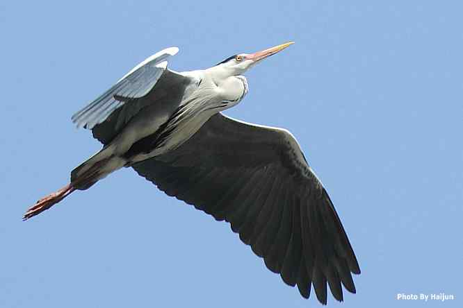 游走山水 猎摄河湾