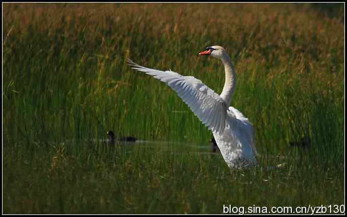 为舟曲遇难同胞默哀（组图）