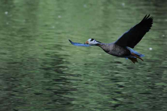 八月十六（杂片）