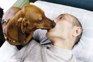 感动中国十大动物颁奖