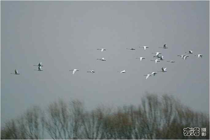  点击图片或使用键盘← →翻页