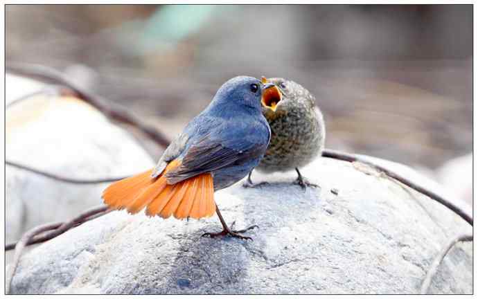 【I 'd never find a love like this】（父爱如山）