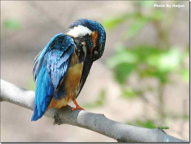  点击图片或使用键盘← →翻页