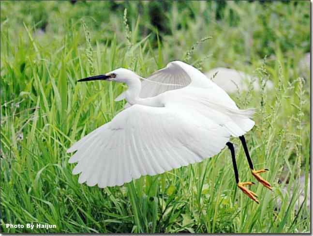  点击图片或使用键盘← →翻页