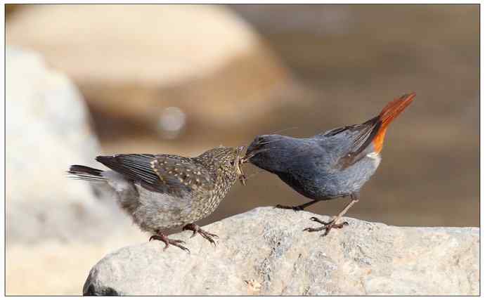 【I 'd never find a love like this】（父爱如山）