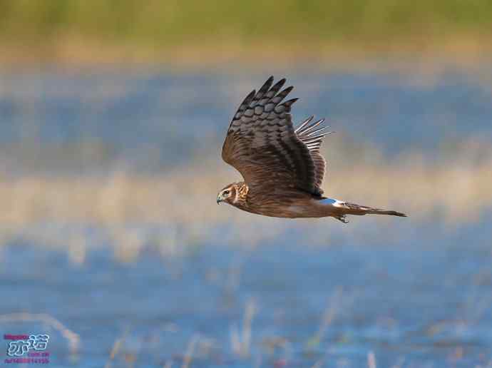 官厅水库 wbr路 wbr金秋十一猛 官厅水库 wbr路 wbr金秋十一猛