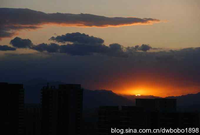 朱雀和北宫的鸟