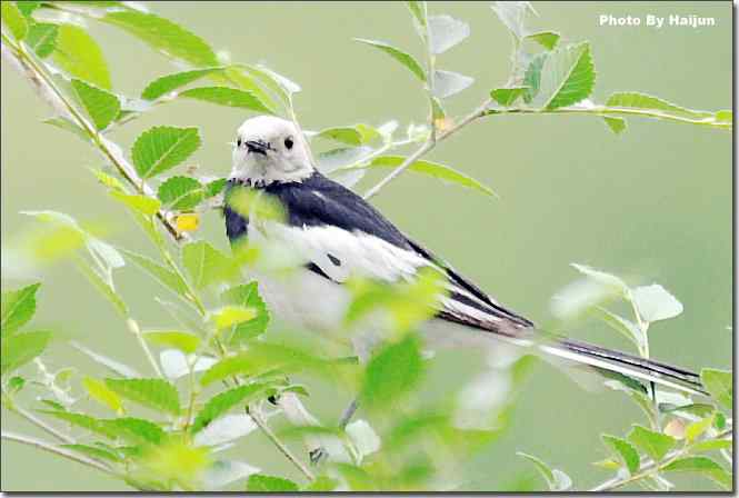  点击图片或使用键盘← →翻页