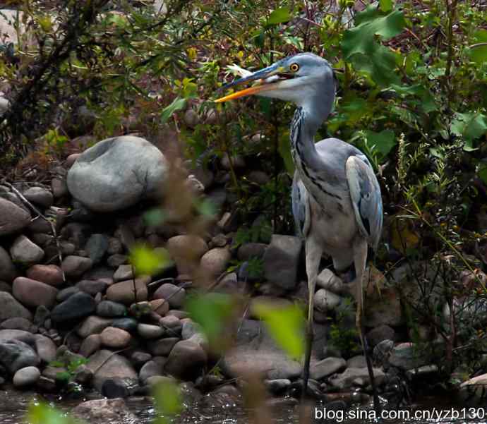 白河峡谷综合版（组图，27张图片）