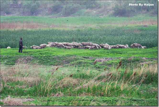  点击图片或使用键盘← →翻页