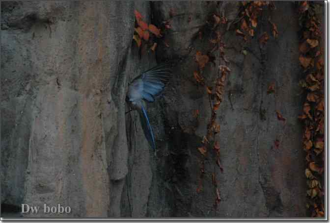 点击图片或使用键盘← →翻页