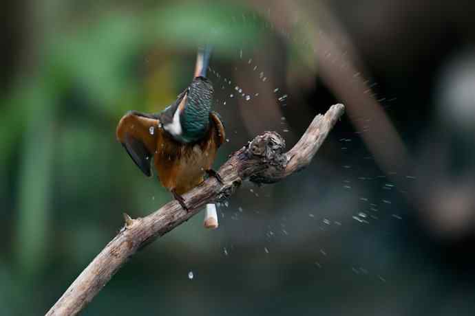 翠二小的渔家功☆