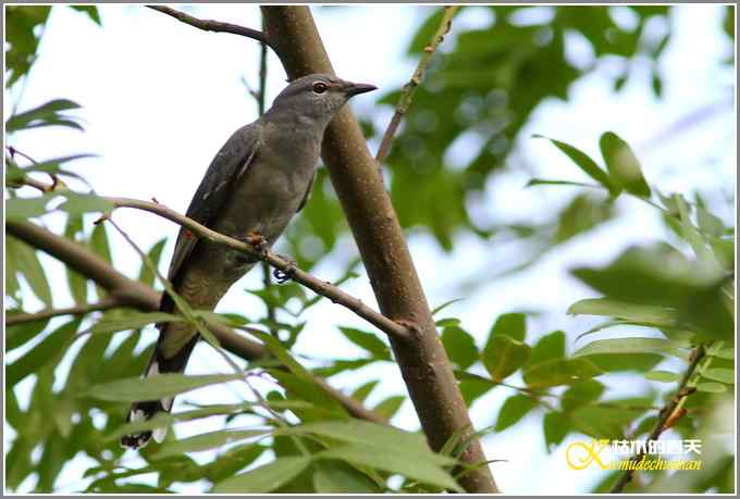 阳光明媚好心情【照片】 阳光明媚好心情【照片】